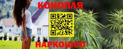 мдпв Гусев