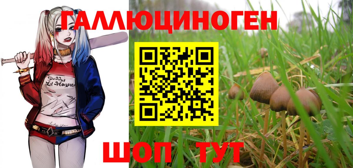 Людиново  продажа наркотиков  Галлюциногенные грибы ЛСД  Вход с VPN  Псилоцибиновые грибы Psilocybe 